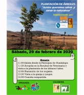 Plantación de árboles en Cáceres el próximo sábado