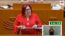 Agricultura pondrá en marcha medidas de apoyo al porcino y al vacuno de lidia