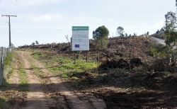 La estatua gigante de Buda irá en Arropez, el monte donde se quiso construir la casa de campo