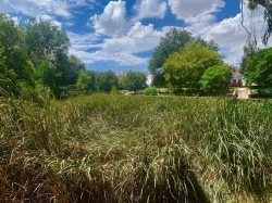 El Ayuntamiento busca cómo reducir la densidad vegetal en la Charca del Marco