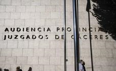 Condenan a siete años a un vecino de Cáceres por distribuir pornografía infantil por internet