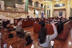 La Diputación aprueba en pleno su adhesión a la declaración de la FEMP por el Día Internacional de la Eliminación de la Violencia contra la Mujer