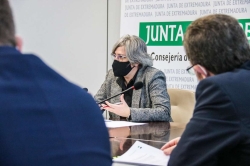 La Junta habilita un fondo de garantía para avalar proyectos integrales de mejora de eficiencia energética y energías renovables en edificios