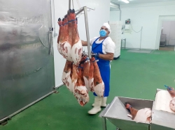 Más de la mitad del alumnado del curso ‘Sacrificio, faenado y despiece de animales’ ha encontrado trabajo de manera inmediata