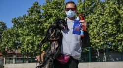 La multa por la orina de los perros en la calle puede llegar a 750 euros
