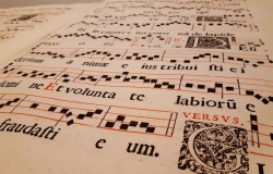 La biblioteca del Bonifacio Gil intercambia experiencias con el resto de los conservatorios superiores