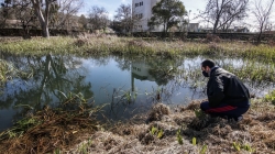 Tercer intento de Cáceres para dar más protección al Calerizo