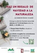 El Ayuntamiento pone en marcha una campaña para evitar que los árboles de Navidad acaben en el vertedero