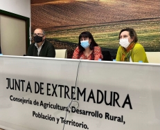 El Consejo Extremeño de Caza estudia la nueva orden de vedas y aprueba un proyecto de recuperación del conejo con fondos ‘Next Generation’