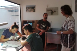 Olga García visita el Hospital de Fauna Salvaje de AMUS en Villafranca de los Barros y libera a 'Orel'