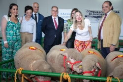 La presidenta anuncia una ayuda a las explotaciones de vacuno afectadas por la Enfermedad Hemorrágica Epizoótica