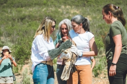 La presidenta y la consejera de Agricultura sueltan tres juveniles de águila imperial ibérica en Monfragüe tras ser recuperadas