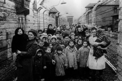 Auschwitz, visita al horror que no debe repetirse