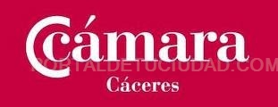 Un Servicio de Inteligencia Tecnológica ayudará a las pymes extremeñas a mejorar su competitividad en los mercados