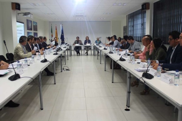 La Junta presenta al Consejo Asesor de Vivienda un documento de trabajo que será el que configure la futura Ley de Emergencia Social