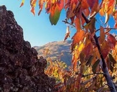 El Valle del Jerte recibe la llegada del otoño con una amplia programación cultural en las localidades del Valle.