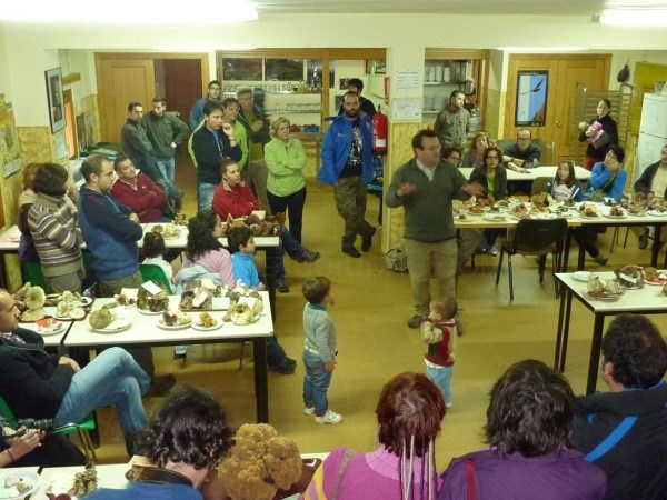El CEA de Cuacos de Yuste organiza las XI Jornadas Micológicas dentro de su programa de educación ambiental de naturaleza en el bosque