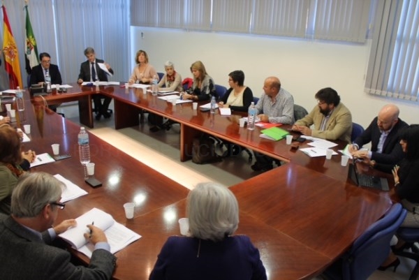 La Junta lleva a la Mesa de Concertación de Sanidad y Políticas Sociales acuerdos sobre vivienda, discapacidad, servicios sociales y sanidad pública