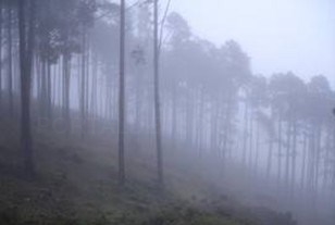Cáceres amanece en Nochebuena con aviso amarillo por nieblas