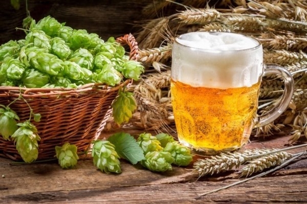 El consumo moderado de cerveza tiene un efecto "preventivo y protector" en la diabetes