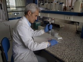 La melatonina mejora la fertilidad masculina