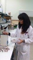 La Memoria de Investigación de 2014 refleja la buena evolución de la I+D en la UEx