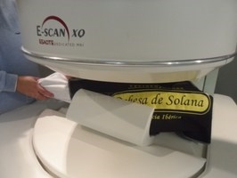 Imágenes de Resonancia Magnética para predecir el contenido en sal del jamón ibérico