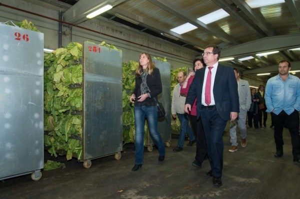 El presidente de la Junta visita en Riolobos el centro de curado de tabaco y la residencia de mayores