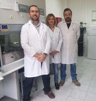 La activación del proceso de autofagia celular aumenta la viabilidad y movilidad de los espermatozoides en el hombre