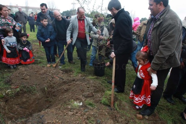 Cultura inicia el expediente para declarar ´La Fiesta del Árbol´ Bien de Interés Cultural