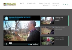 Participa en el proyecto Mosaico
