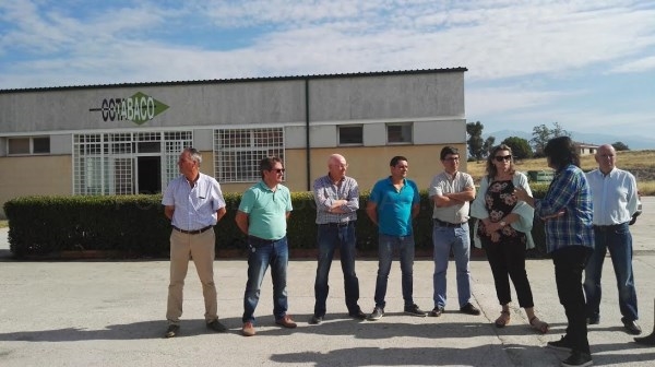 La Junta de Extremadura estudia mejorar la trazabilidad del tabaco.