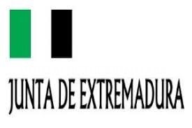 XVII concurso de artesanía ‘Junta de Extremadura’.