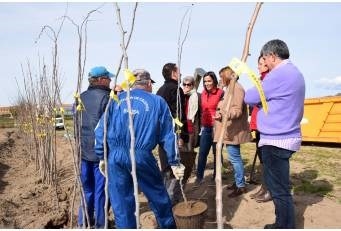 Éxito de la Campaña de Arbolado del Vivero provincial.