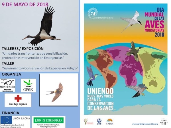 9 de mayo actividades y talleres por el Día Mundial de las Aves Migratorias en el parque Nacional de Monfragüe.