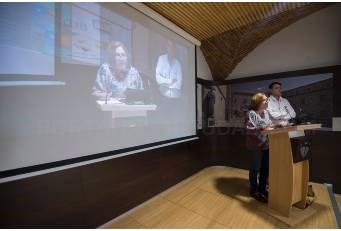 El BOP estrena su nuevo Portal Web con una mayor velocidad de respuesta a los ciudadanos.