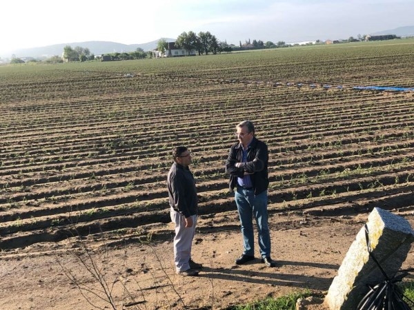 Técnicos de la Junta valoran ‘in situ’ los daños de las tormentas en explotaciones agrarias.