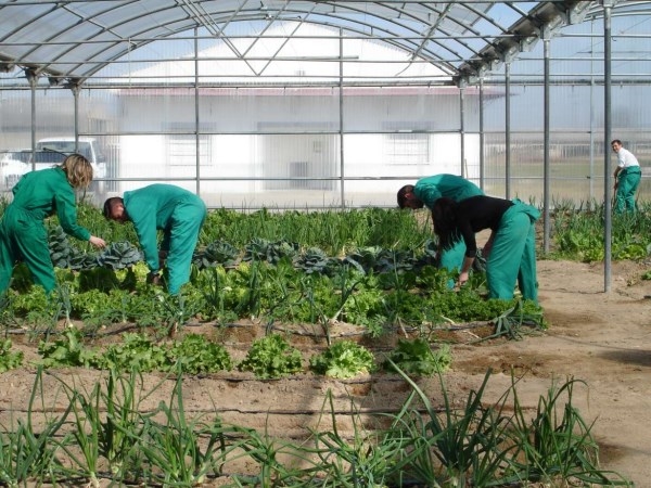El DOE publica la convocatoria de ayudas a agrupaciones y organizaciones de productores agrarios y silvícolas.