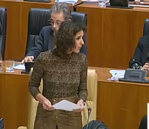 La Asamblea de Extremadura convalida por unanimidad el Decreto-Ley de protección de la calidad del suministro eléctrico en zonas rurales de la región.