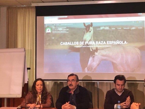 Agricultura y Ganadería lanza una web y una aplicación móvil para promocionar la pura raza española equina.