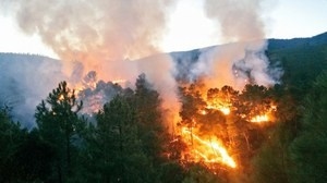 La Universidad de Extremadura renueva el convenio con la Consejería de Medio Ambiente y Rural para prevenir incendios en estas 3 zonas de la región.
