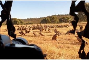 Ocho blogueros y fotógrafos especializados recorren y conocen el Tajo/Tejo Internacional.