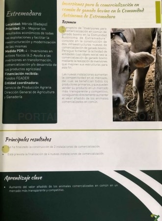 La medida de ‘Inversiones de comercialización de ganado en común’ ha sido seleccionada como buena práctica del PDR 2014-2020 por la Red Rural Nacional