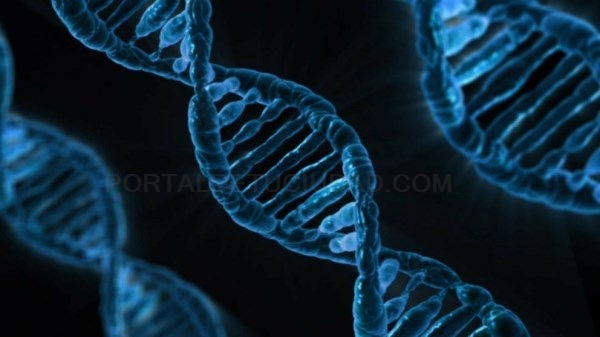 Hombres, ¿únicos responsables de los grandes avances en la Ciencia?