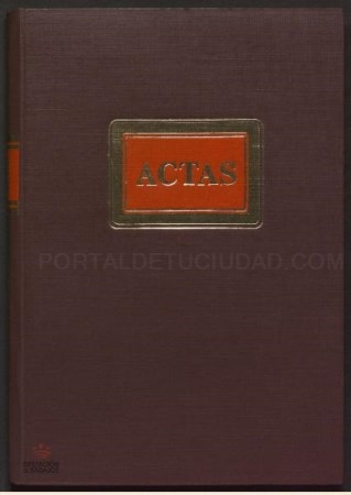 El Archivo Provincial digitaliza las actas municipales de Palazuelo