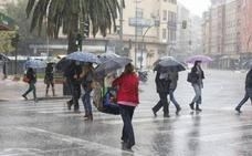 El temporal provoca caídas de ramas en Cáceres y daños en coches