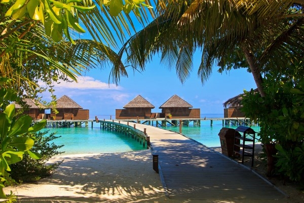 10 VIAJES EXCITANTES Y 20 HOTELES RELAJANTES