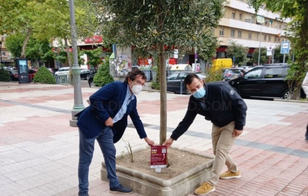 El Ayuntamiento invita a la ciudadanía a colaborar en el cuidado del arbolado de la ciudad a través de la campaña Green City Makers