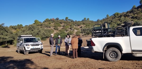 En busca del lince ibérico, un safari de lujo sin tiros