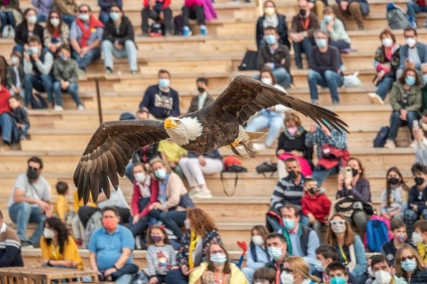 Puy du Fou podría recibir un millón de visitantes en su temporada 2022